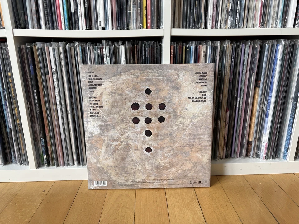 Foo Fighters - Foo Fighters, Mint Colored, 2 x Vinyl 2025 Bonus Tracks Ltd Edt. - Bild 2 von 2