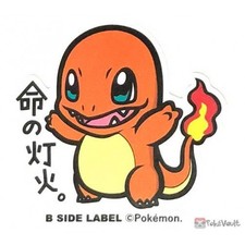  US SELLER Pokemon B-Side Label Water Proof Sticker Various Styles