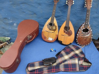 3 alte Mandolinen