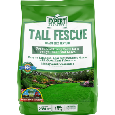 GRASS SEED Tall Fescue Drought Resistant for Sun to Partial Shade