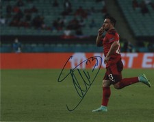 Switzerland Xherdan Shaqiri  Autographed Signed 8x10 Photo COA #1