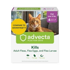 Large Cat Flea Treatment: Fast-Acting, Waterproof Drops, 4-Month Supply