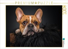 CALVENDO Puzzle Bruno 1000 Teile Lege-Gr e 64x48cm Foto-Puzzle f r gl ckliche