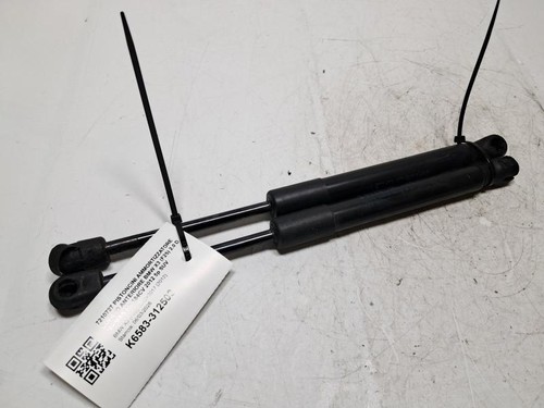 7210727 HAUBENDÄMPFER KOLBEN BMW X3 (F25) 2.0 D 16v MAN 6m 184CV 2012 5p SUV