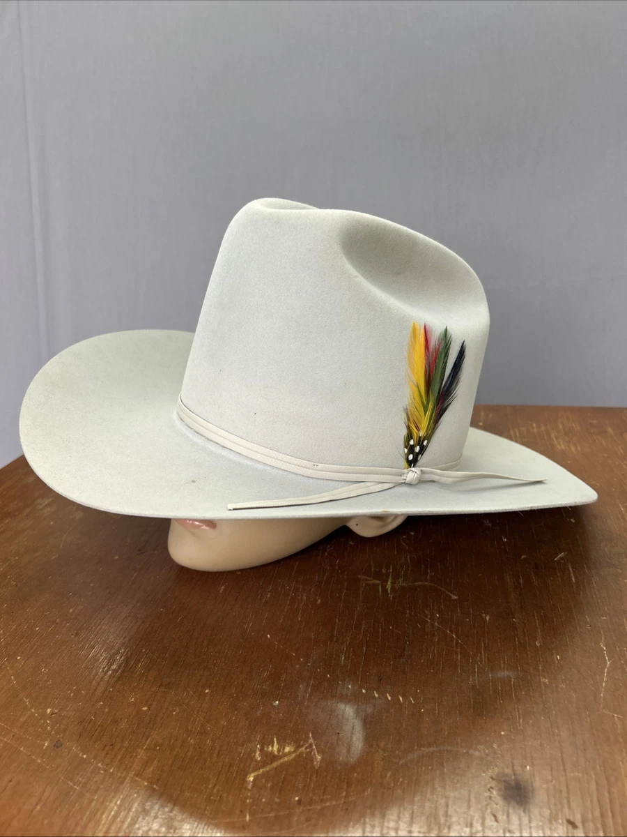 Stetson Beaver Vintage Men's 7 3/8 Size for sale | eBay