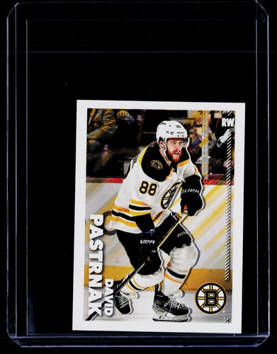 2022 David Pastrnak #41
