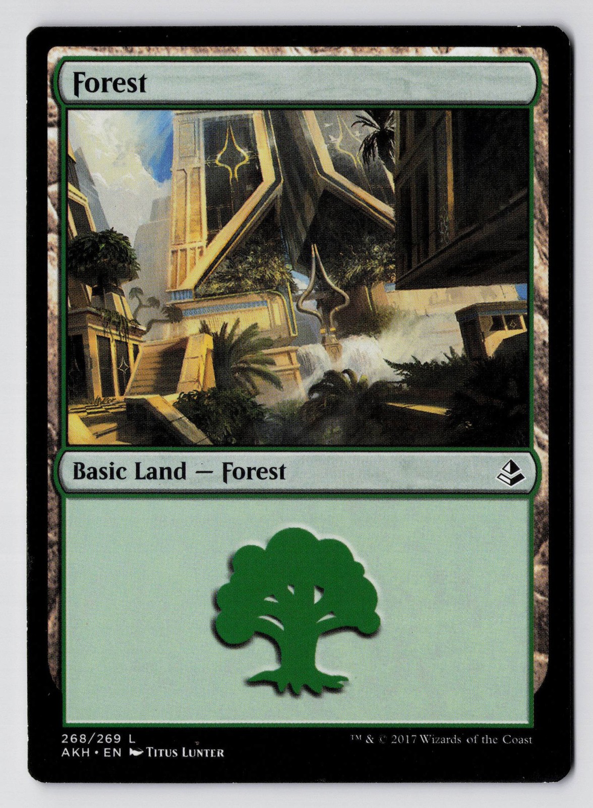 Forest - 268 - Amonkhet - NM