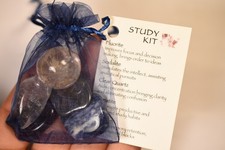 *KIT DE ESTUDIO* Piedras caídas Cristales curativos 51,2 g Bolsa de organza Hoja informativa