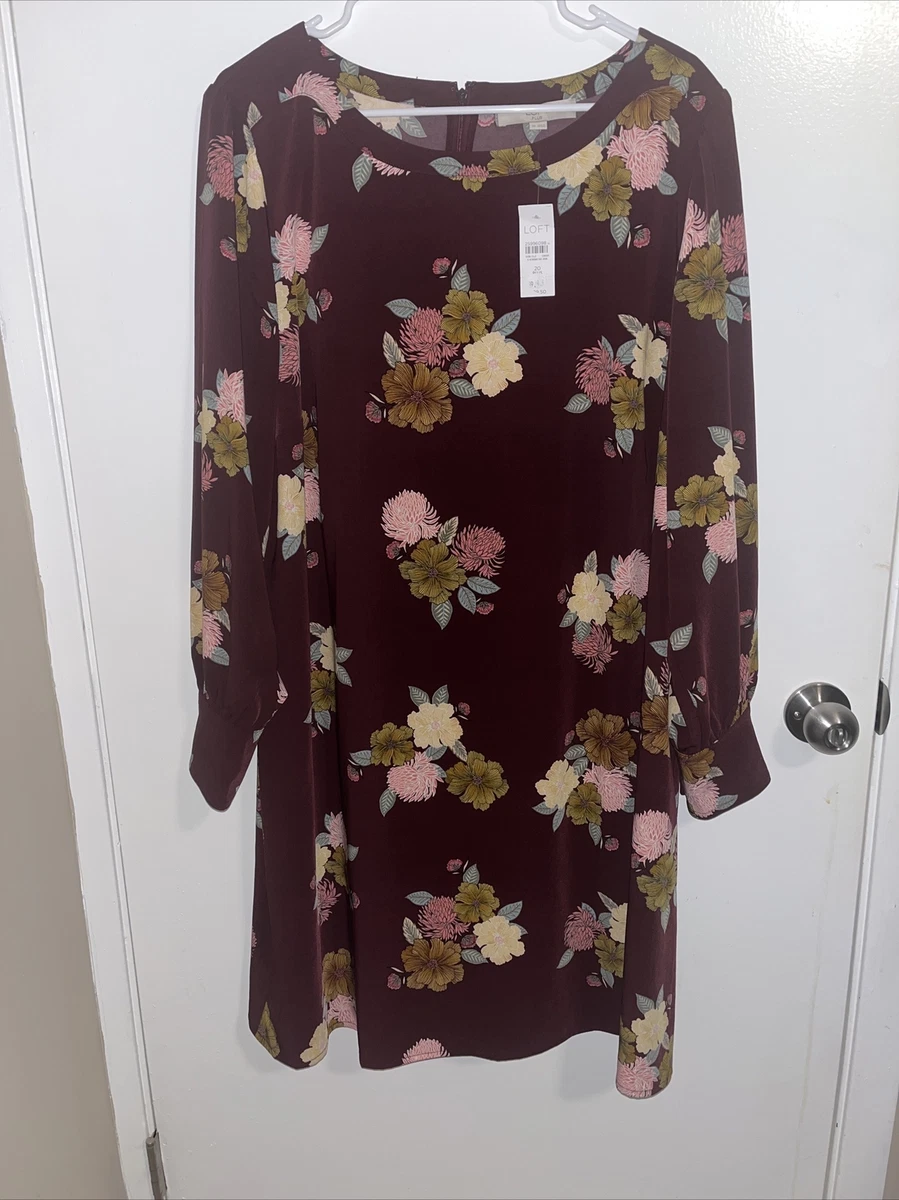 Ann taylor loft plus size dresses cheap
