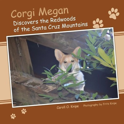 Caroll O. Knipe | Corgi Megan Discovers the Redwoods of the Santa Cruz Mountains
