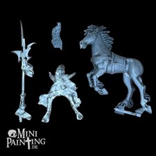 Warhammer Dunkelelfen Schwarz Reiter Kommand Metal Kunststoffe GW Citadel