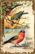 Best X-Mas Wishes Winter Birds Holly Berries Embossed Postcard Posted