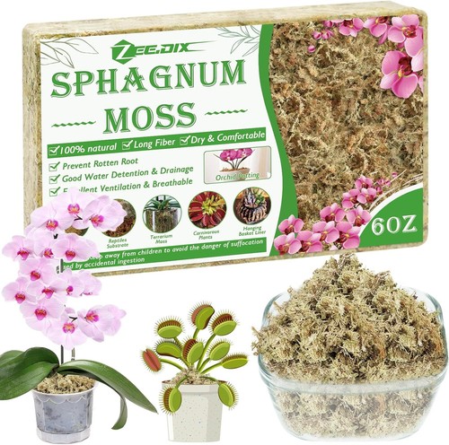 ZeeDix Sphagnum Moos für Pflanzen langfaseriges Torfmoos für Orchideen Reptilien - Bild 1 von 14