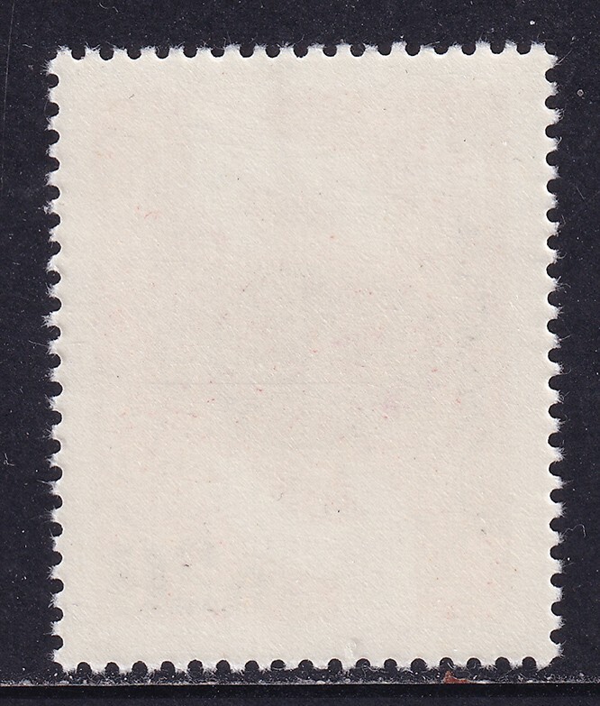 Foto 2 di 2
