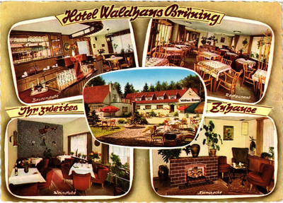 CPM AK BAD LIPPSPRINGE HOTEL WALDHAUS BRUNING GERMANY (1436660)