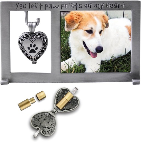 Cathedral Art PF404 Pet Memorial Frame with Vial for Ashes, 5-1/4 by 3-Inch - 第 1/1 張圖片