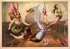 Female Acrobats 1890 Circus  Poster Print  17 x 11  Giclee Print