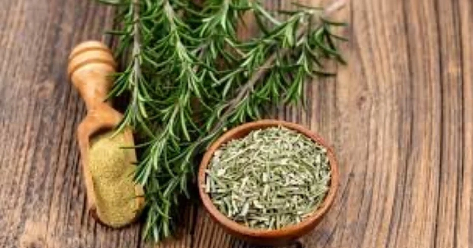 Ramitas de romero 100 % orgánicas frescas * Cortadas bajo pedido * HIERBA * Cultivadas en NE Florida Foto 2 de 2