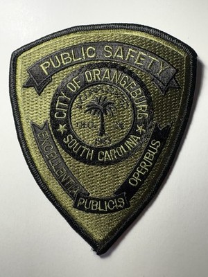 Orangeburg South Carolina Department of Public Safety Patch ~ Subdued