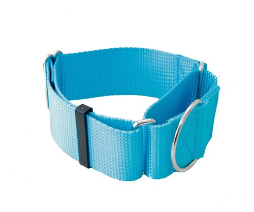 2 Inch Width Martingale No Slip Dog Collar Heavy Duty 2" Width Walking Collars - Picture 19 of 28