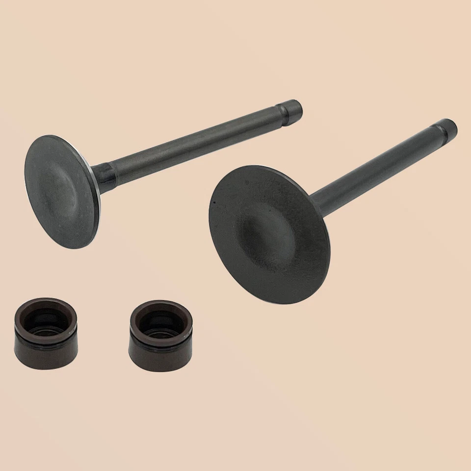 Kit de válvulas de escape de admisión de motor para Yamaha TTR125E 2003-2009 TTR125L 2000-2008 Foto 3 de 4