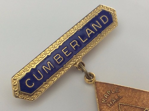 Cumberland Ontario Vintage Lions Club Maple Hall Canada Pin B904 - Picture 2 of 8