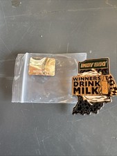 Indy 500 1 Of 2650 Numbered Winners Drink Milk 2025 Pin Wincraft Inc.