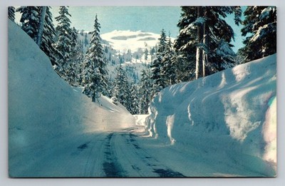 Cascade Mountain Roads, Washington  Mile High Snowbanks Unp Vtg C.1959 Postcard