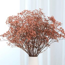 Dried Baby Breath Flowers Bouquet 17'' Ivory Gypsophila for Vase Wedding Decor