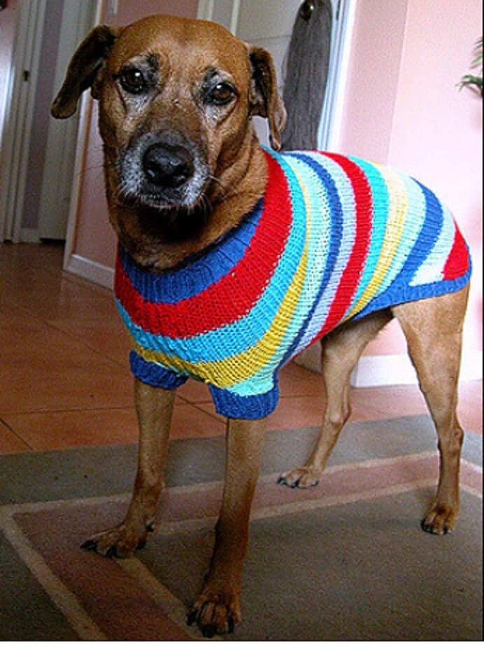 Aran dog top jumper pattern
