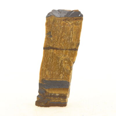 Tiger's Eye. 59.5 ct. Northern Cape, South Africa.