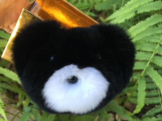 teddy bear eyes michaels