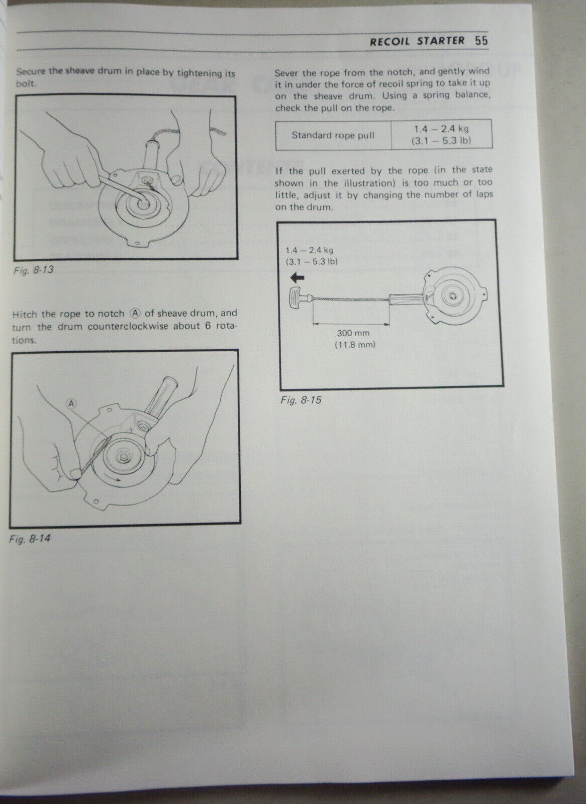 Imagen 3 de 3