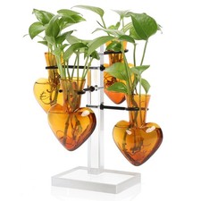 Plants Propagation Stations Plant Terrarium Kit Gift Women Desktop Planter