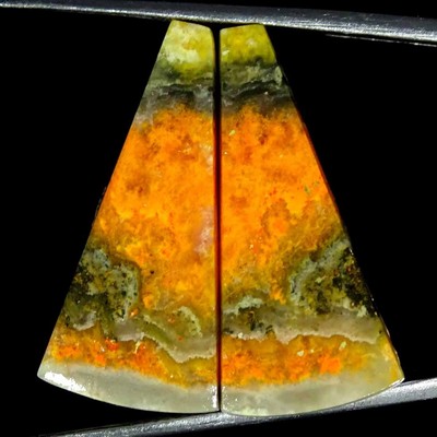 23,10 Ct Natürlicher Bumble Bee Jasper Paar Fancy Cabochon Losem Edelstein