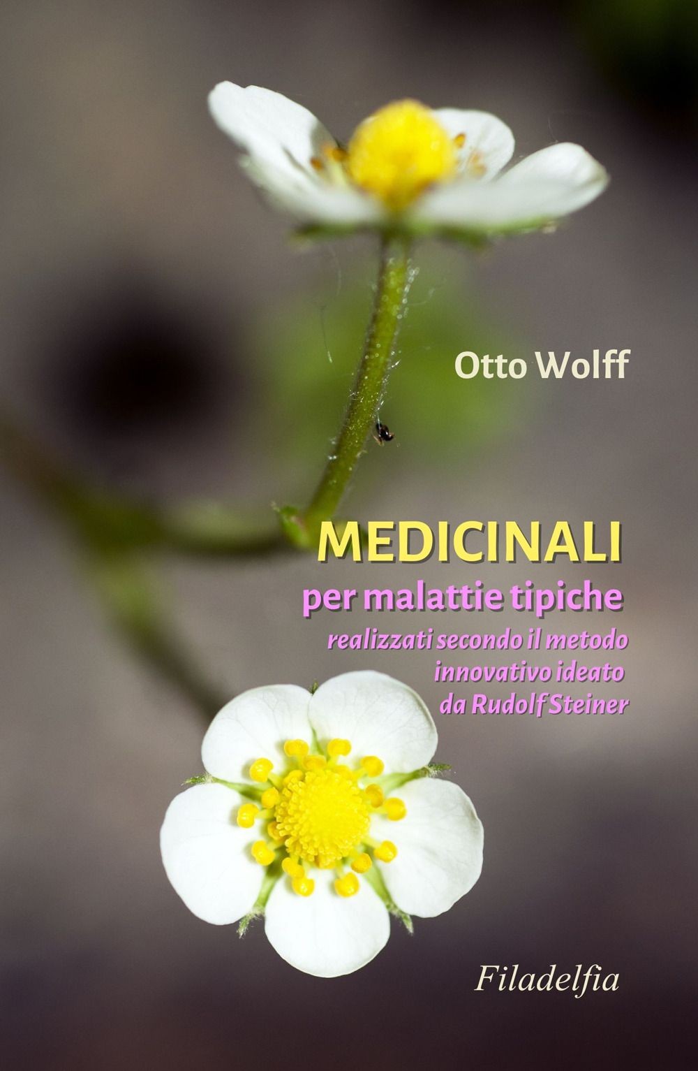Libri Otto Wolff - Medicinali Per Malattie Tipiche. Realizzati Secondo Il Metodo