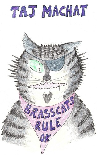 C6 Karte: Tom Cats of Manchester, "Taj Machat" - Bild 1 von 10