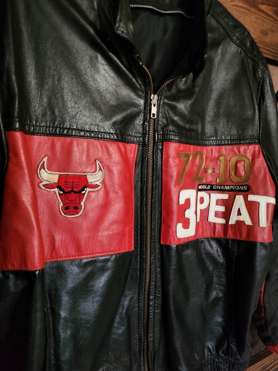 EXTREMELY RARE Chicago Bulls 95'-96' CHAMPIONS Greatest Team