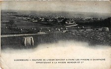 PC LUXEMBOURG CULTURE DE L'OSIER PANIERS A CHAMPAGNE MERCIER (a61740)