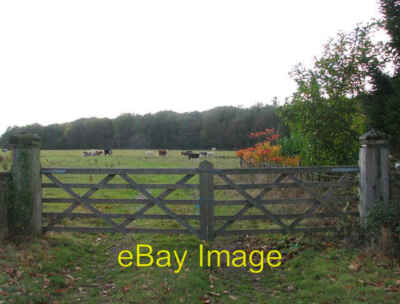 Photo 6x4 Gate into a cattle pasture north of The Thicks Carleton St Pete c2009