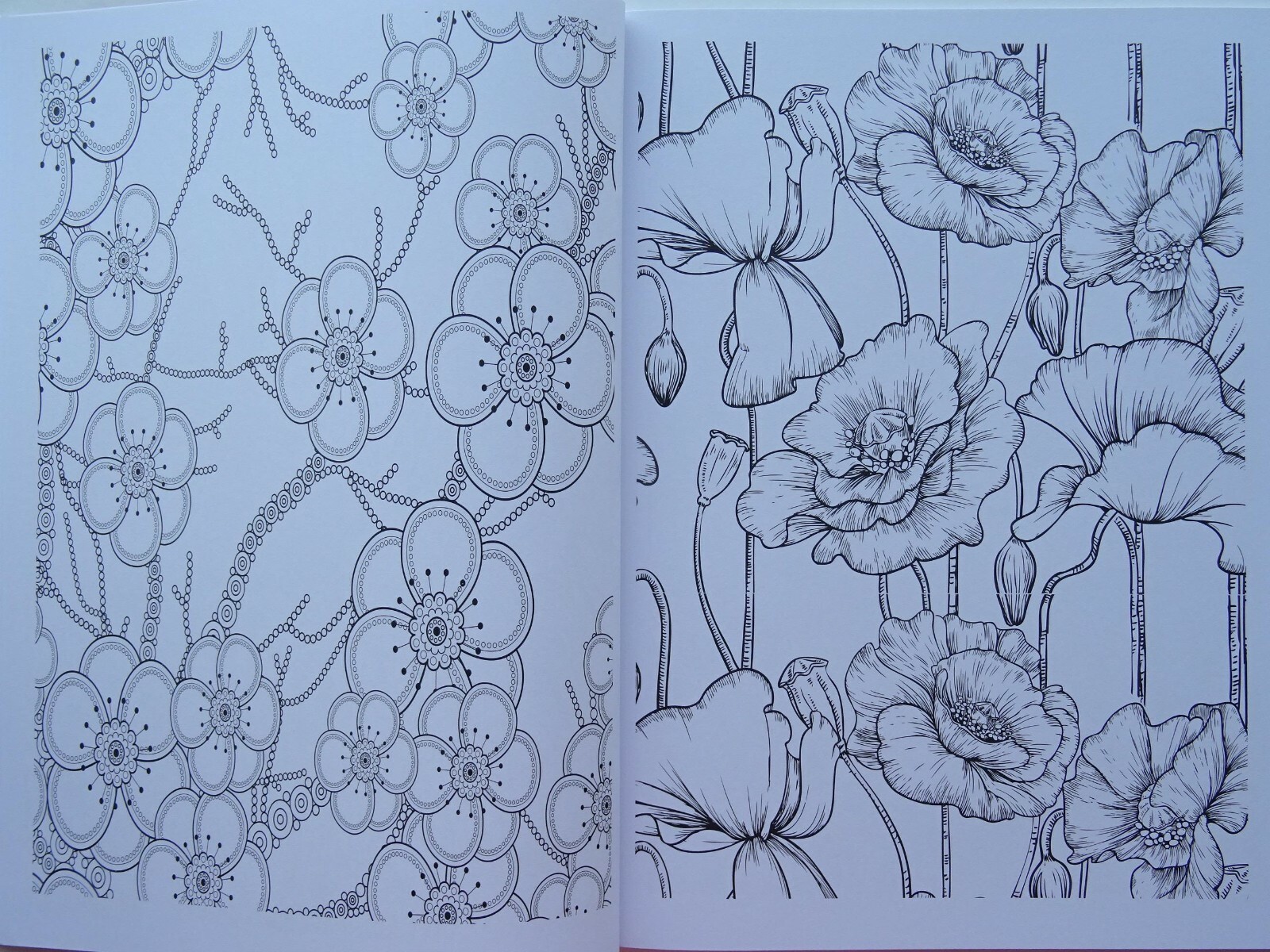 Picture 46 of 48