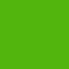 LIME GREEN BASECOAT