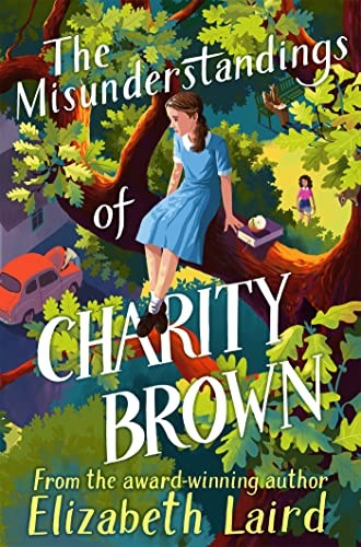 The Misunderstandings of Charity Brown,Elizabeth Laird