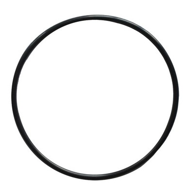 Dichtung Dichtring für Deckel Bestway Filterpumpe #58122 #58123 [5.678 l/h]