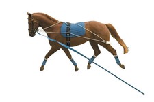 Weatherbeeta Kincade Horse Lunging Training System