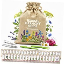 Medicinal Herb/Tea Seeds Garden -39 Variety Heirloom Gift Kit - Made in USA