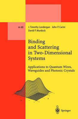Binding and Scattering in Two-Dimensional Systems - 9783662142141
