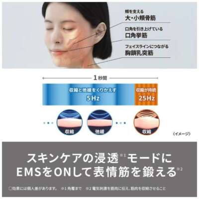 Panasonic Ion Boost MultiEX EH-SS85-W Dual Dynamic EMS Facial