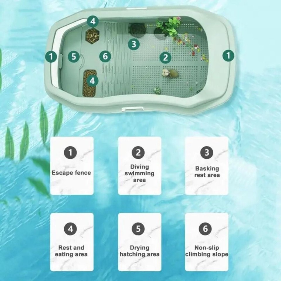 Detachable Turtles Tank Aquarium Tortoise Habitat Small Amphibious