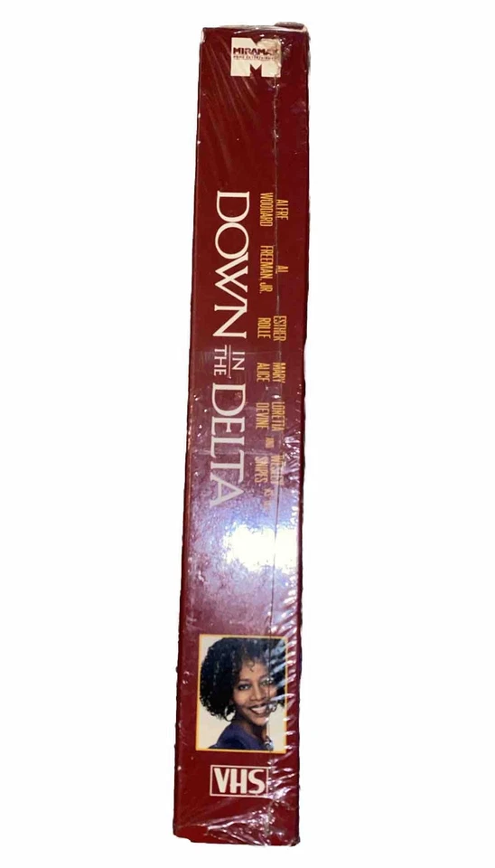 Down in the Delta VHS Promo Demo Tape Wesley Snipes Video VHS Rare OOP HTF Tape - Image 4 of 4